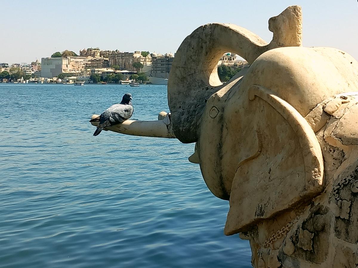wyjazd z jogą do Indii, podróże do Indii, wyjazdy z jogą, wyjazdy dla kobiet, Taj Mahal